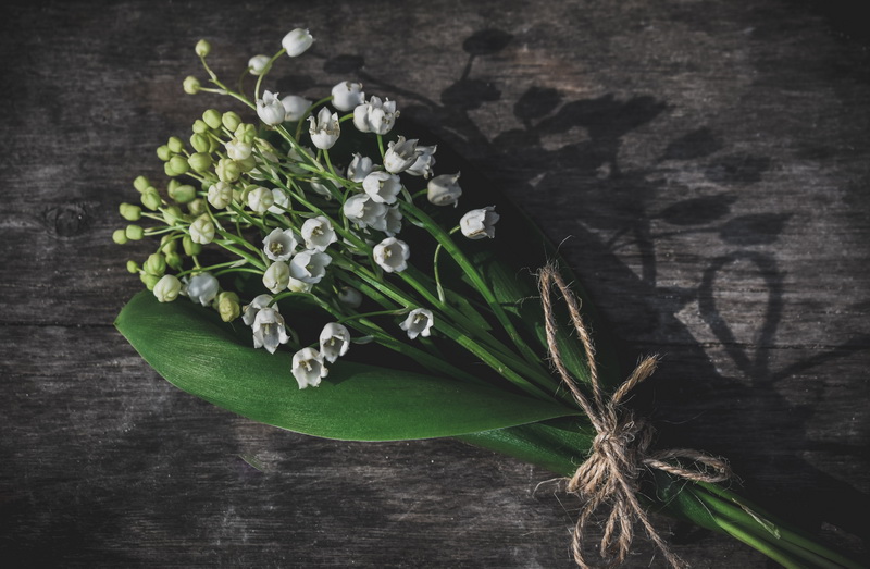 铃兰花_lilyofthevalley_muguet_5